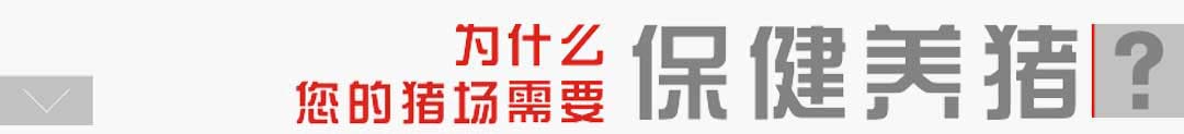 i(chng)ʲôҪBi